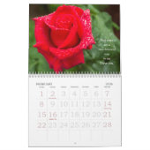 Rose Therapy 20XX Foto Kalender (Feb 2026)