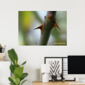 Rose Thorns Poster (Heimbüro)