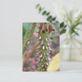 Rose Thorns: Rosa Rose Osaka ポストカード Postkarte (Stehend Vorderseite)