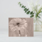 Rose Tinted Daisy Postkarte (Stehend Vorderseite)
