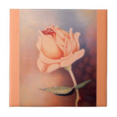 Rose Tränen Fliese (Vorderseite)