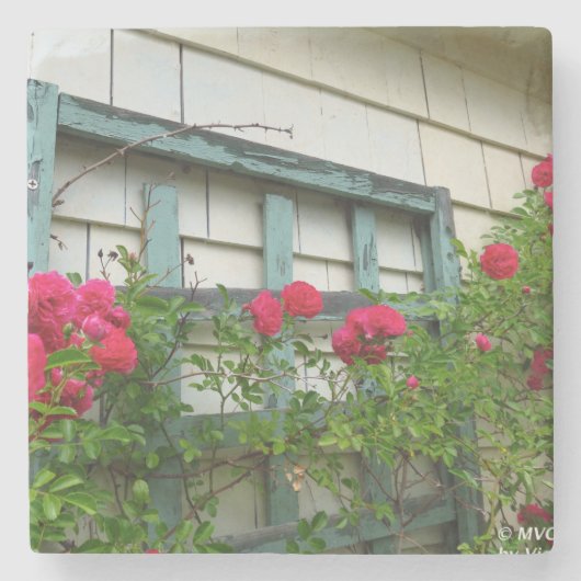 Rose Trellis - Martha's Vineyard Steinuntersetzer (Vorderseite)