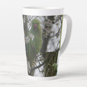 Rose umringt Parakeet in Blossom Tree Latte Tasse