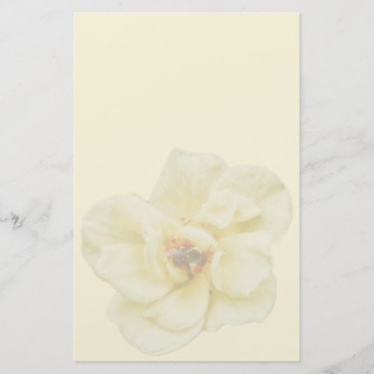 Rose und Biene Briefpapier (Vorderseite)