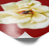 Rose und Biene Fotodruck (Ecke)