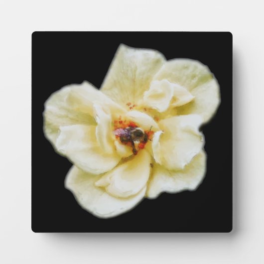 Rose und Biene Fotoplatte (Vorderseite)