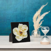 Rose und Biene Fotoplatte (InSitu)
