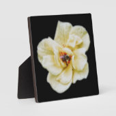 Rose und Biene Fotoplatte (Vorderseite)