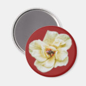 Rose und Biene Magnet (Vorderseite/Rückseite)