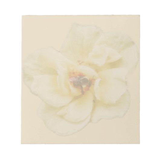 Rose und Biene Notizblock (Vorderseite)