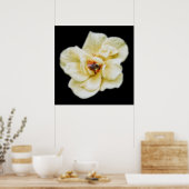 Rose und Biene Poster (Küche)