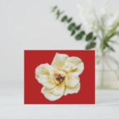 Rose und Biene Postkarte (Stehend Vorderseite)