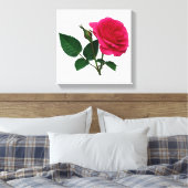 Rose und Bud Leinwanddruck (Insitu (Schlafzimmer))