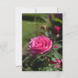 Rose und Bud Mitteilungskarte
