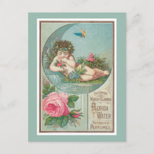 Rose und Cherub Florida Waters Postkarte