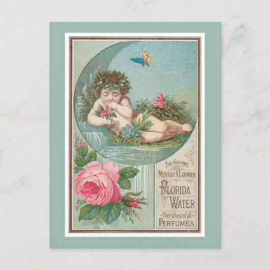 Rose und Cherub Florida Waters Postkarte (Vorderseite)