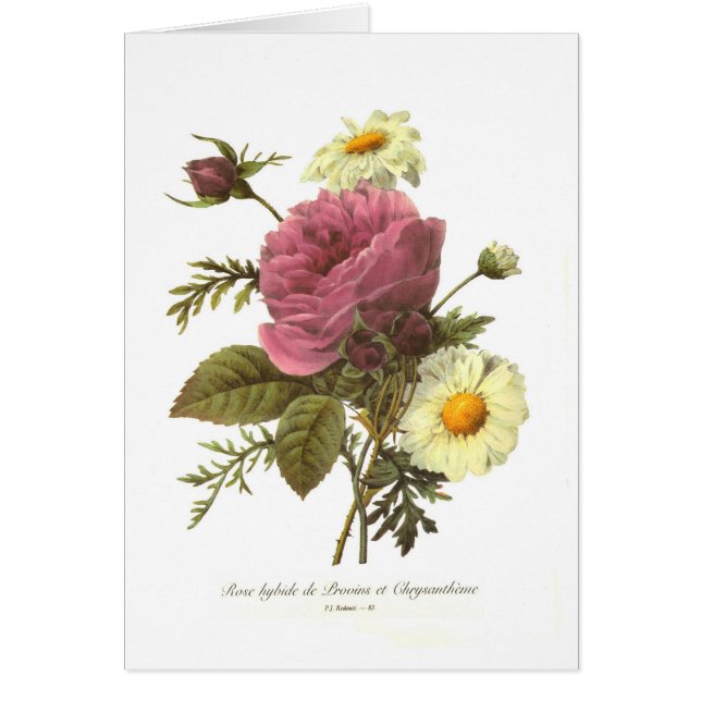 Rose und Chrysantheme (Vorne)