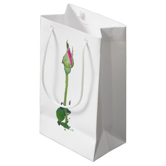 Rose und Design der Geschenktüte (Vorderseite Schrägansicht)