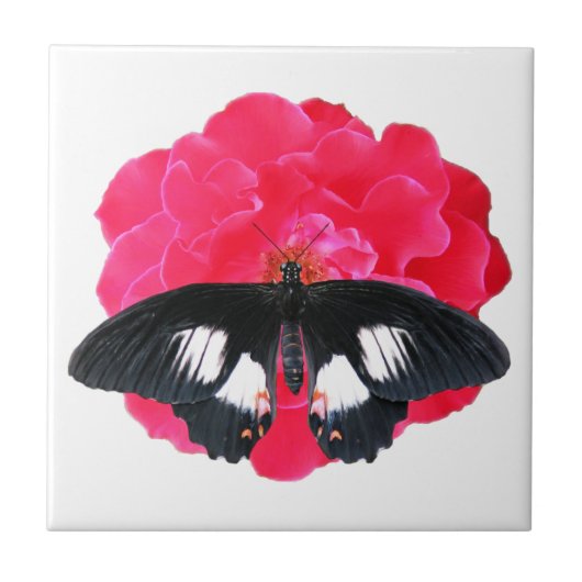 Rose und Frack Fliese (Vorderseite)
