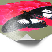 Rose und Frack Fotodruck (Ecke)