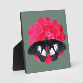 Rose und Frack Fotoplatte (Vorderseite)