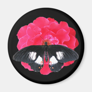 Rose und Frack Magnet
