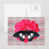 Rose und Frack Postkarte (Vorne/Hinten)