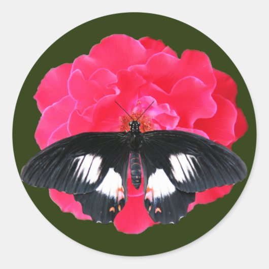 Rose und Frack Runder Aufkleber (Vorderseite)
