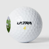 Rose und graue Stuckwand Golfball (Logo)
