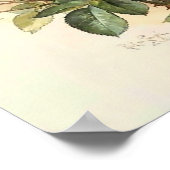 Rose und Hummeln Paul de Longpre Art Poster (Ecke)