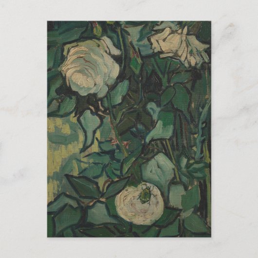 Rose und Käfer von Vincent Van Gogh Postcard Postkarte (Vorderseite)