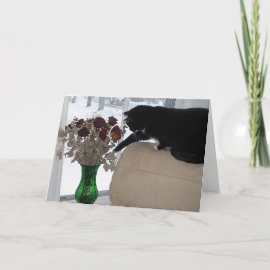 Rose und Katzen Feiertagskarte (Vorderseite)