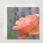 Rose und Lavendel Geburtstag Einladung (Vorderseite)
