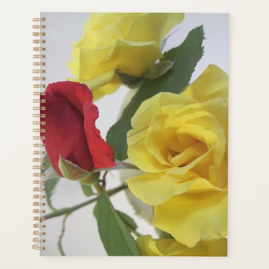 Rose und LIly-Planer Planer (Vorderseite)