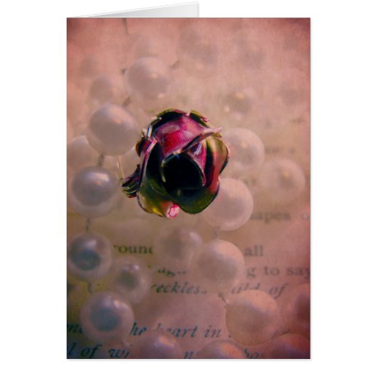 Rose und Perlen Stillleben (Vorne)