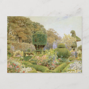 Rose und Pinks von Elgood, Vintager Englischer Gar Postkarte