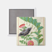 Rose und Polygonat Magnet (Vorderseite/Rückseite)