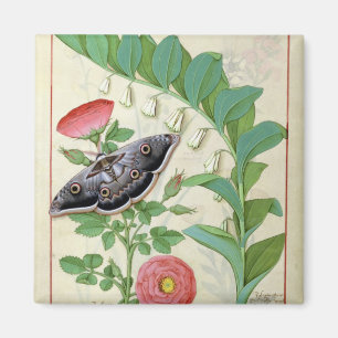 Rose und Polygonatum Magnet