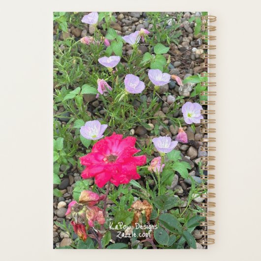 Rose- und Primatenplaner Planer (Rückseite)