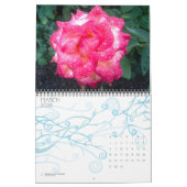 Rose- UND REGENZEITALLE Kalender (Mär 2026)