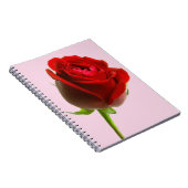 Rose und Rosa Notizblock (Rechte Seite)
