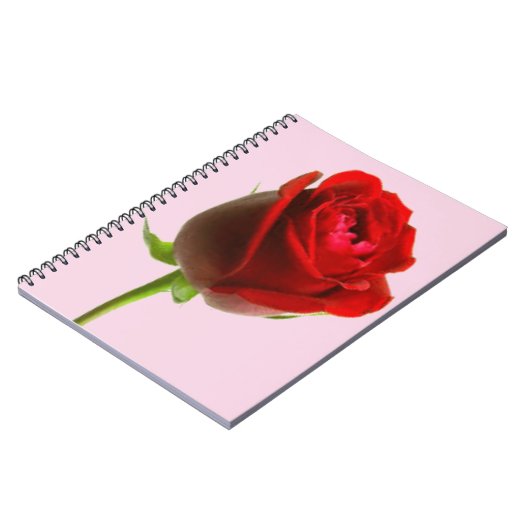 Rose und Rosa Notizblock (Linke Seite)