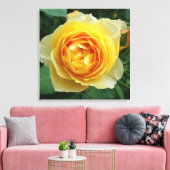 Rose und Rosebud Leinwanddruck (Insitu (Wohnzimmer))