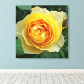Rose und Rosebud Leinwanddruck (Insitu (Holzboden))