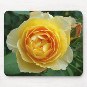 Rose und Rosebud Mousepad