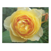Rose und Rosebud Notizblock (Vorderseite)