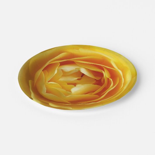 Rose und Rosebud Pappteller (Schrägansicht)