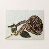 Rose und Schlange - Ball Phyton Puzzle (Horizontal)