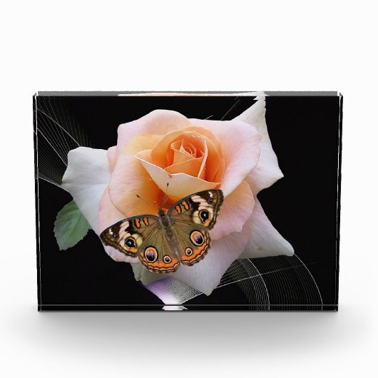 Rose und Schmetterling Fotoblock (Vorderseite)