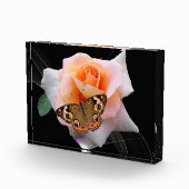 Rose und Schmetterling Fotoblock (Rechts)